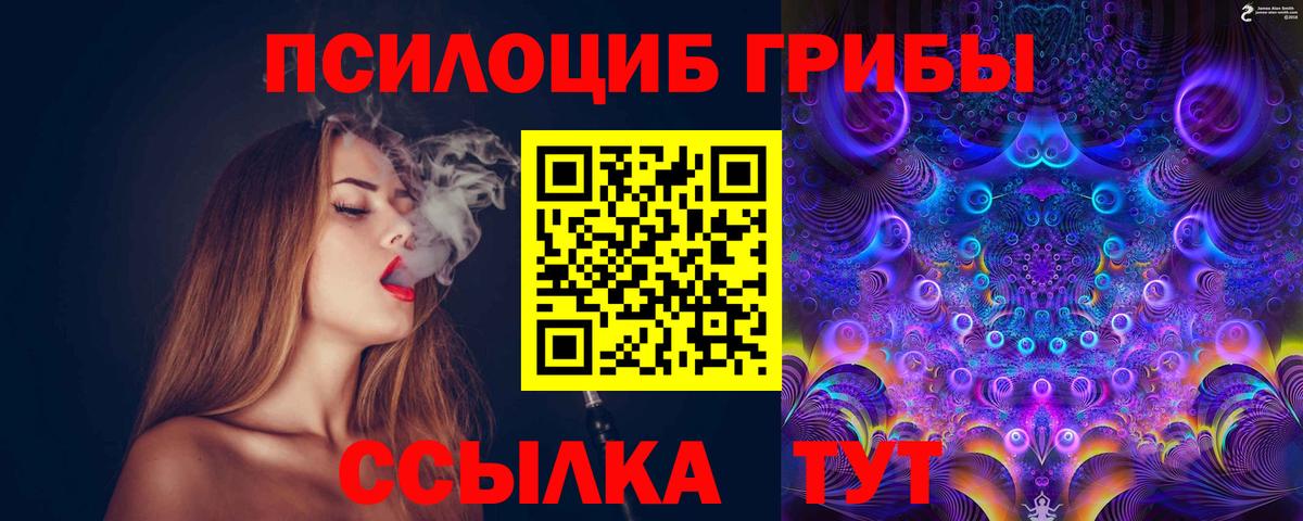 Галлюциногенные грибы Psilocybe Екатеринбург