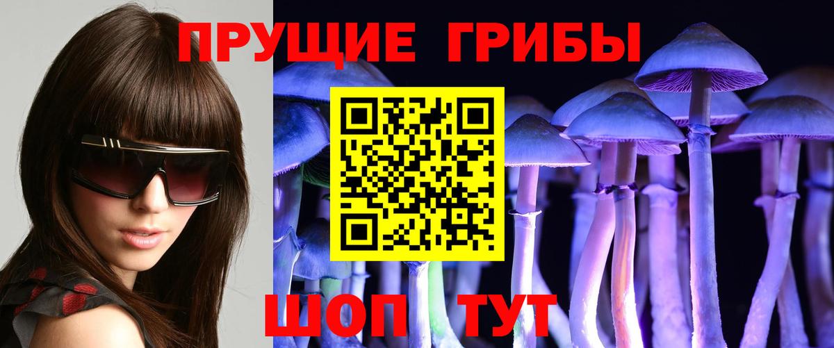 Екатеринбург  Псилоцибиновые грибы мицелий  Вход с VPN 